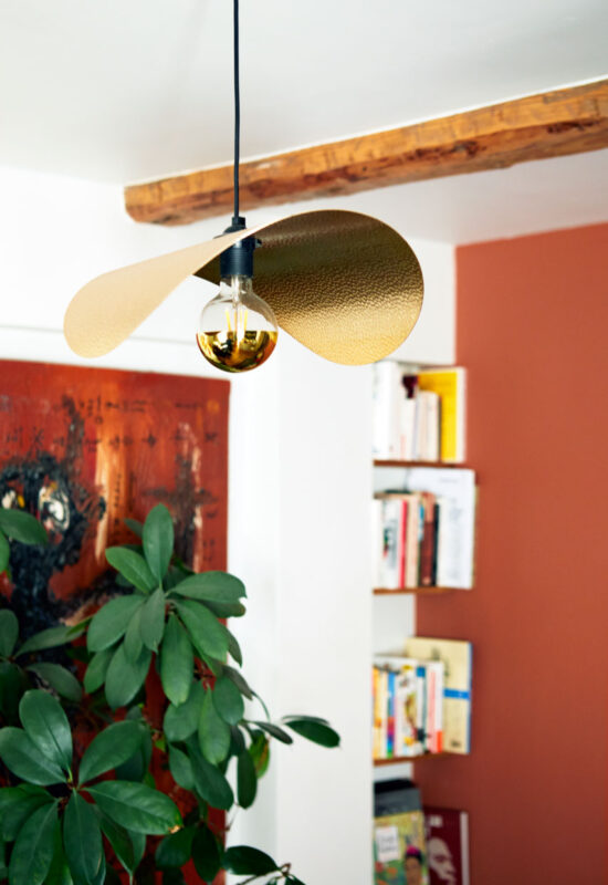 Bussy l’Indien - Image 13