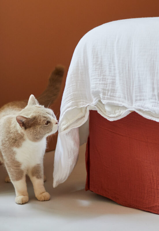 Mas d’Emma - Image 23